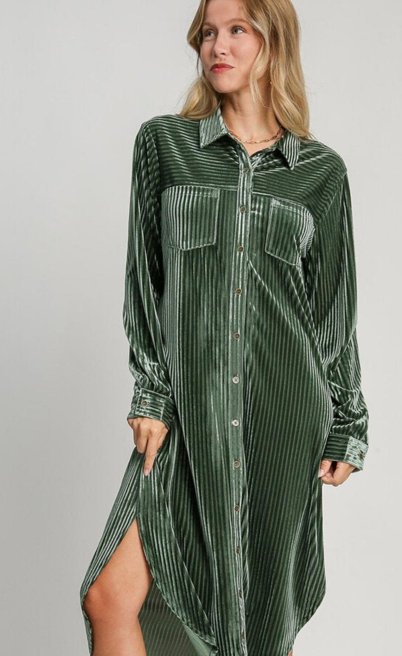 Montana Velour Button Up Dress