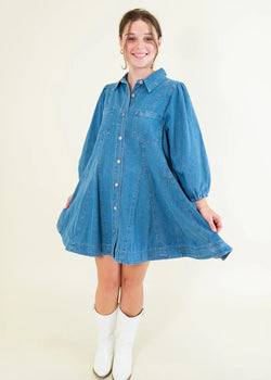 Denim Button Up Mini Dress